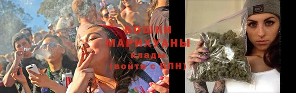 мдпв Ельня