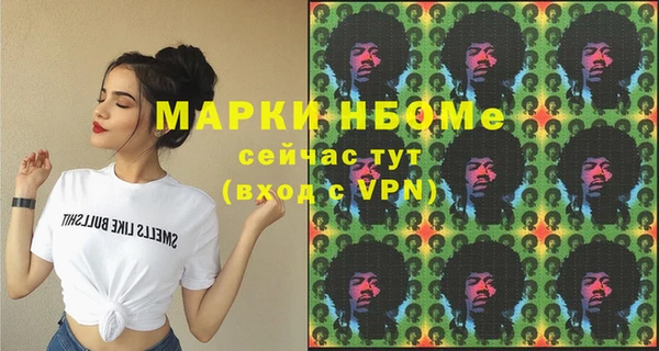сатива Аркадак