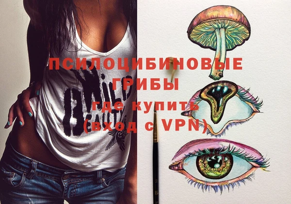 сатива Аркадак
