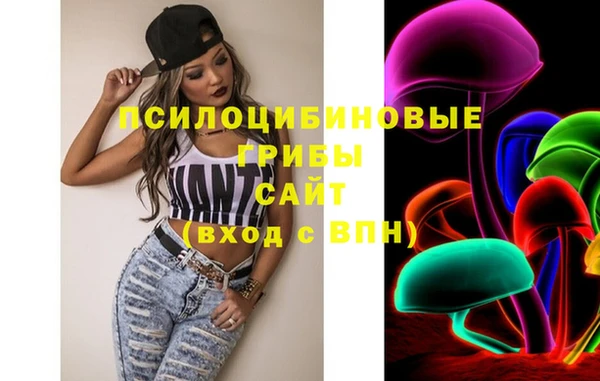 сатива Аркадак
