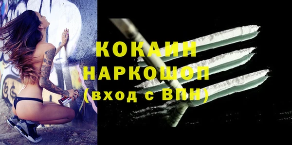 прущие грибы Елабуга